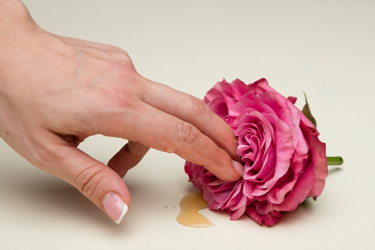 Estimulación zonas erógenas femeninas